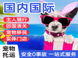 梅州空运国际宠物托运 【国